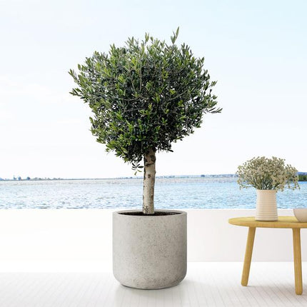 Pot de fleurs Jumbo Charlie Beige Délavé - XXS - D53 x H52 - Pot en céramique | Effet béton