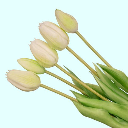 Wazon Lady Sunny + 10 tulipanów Real Touch w kolorze białym/zielonym