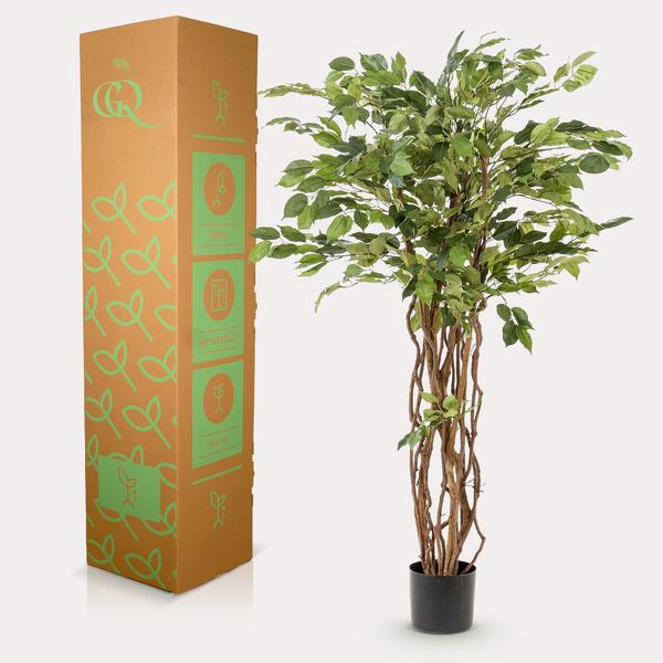Kunstplant - Ficus liana  - Vioolbladplant - ↕140cm