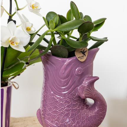 Kolibri Home | Ryba - Liliowy - Ø9 cm