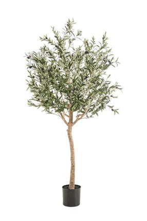 Sztuczne drzewo oliwne - Olea europaea - Drzewo oliwne - ↕180cm - Ø15cm