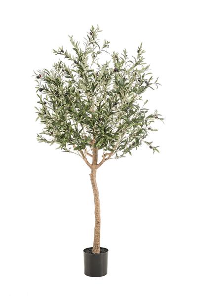 Künstlicher Olivenbaum – Olea europaea – Olivenbaum – ↕180 cm – Ø15 cm