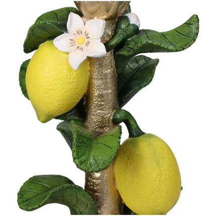 Bougeoir avec citronnier - ↑ 22 cm