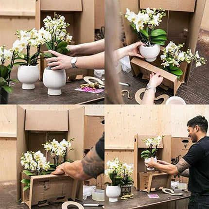 Kolibri Home | Groove flower pot - Golden ceramic decorative pot - Ø12cm