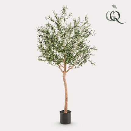 Sztuczne drzewo oliwne - Olea europaea - Drzewo oliwne - ↕180cm - Ø15cm