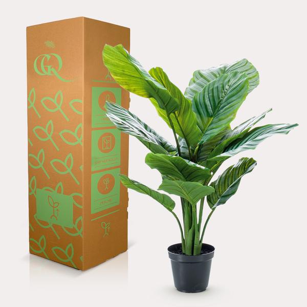 Kunstplant - Calathea Orbifolia - Schaduwplant - ↕65cm - Ø14cm