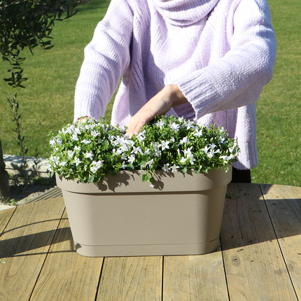 Campanula Addenda Ambella bianca - Fioriera da balcone color tortora con 3 campanule Ø12cm - Sistema di sospensione incluso - Campanula bianca