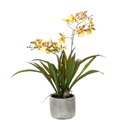 Artificial Orchid Plant - Yellow - ↕45cm - Ø16cm