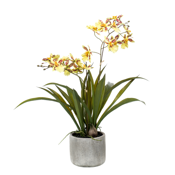 Kunstplant - Orchidee - Geel - ↕45cm - Ø16cm