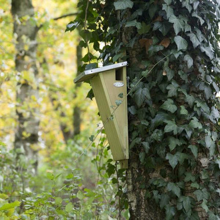 Nichoir pour grimpereau des jardins - Boîte à nid - Animaux de jardin