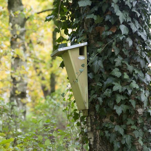 Baumläufer-Vogelhaus - Nistkasten - Gartentiere