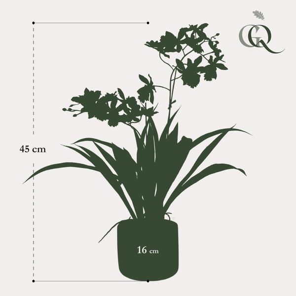 Kunstplant - Orchidee - Geel - ↕45cm - Ø16cm
