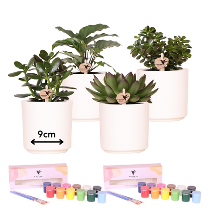 Kolibri Creatives | Paint kit for painting 4 flower pots + succulents | for 4 people | Beginner artist