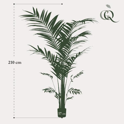 Kunstplant Kentia - Kentiapalm - ↕210cm - Ø17cm