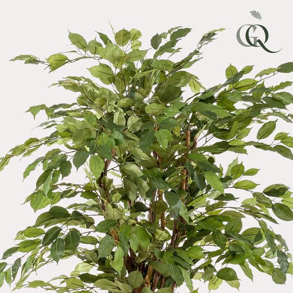Kunstplant - Ficus liana  - Vioolbladplant - ↕170cm