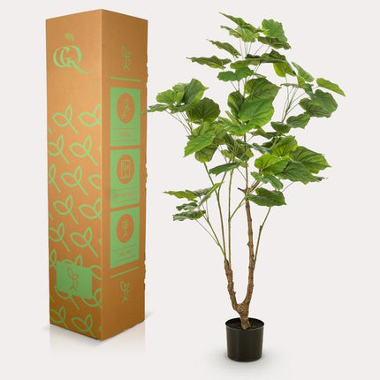 Artificial plant Ficus umbellate - African fig - ↕125cm