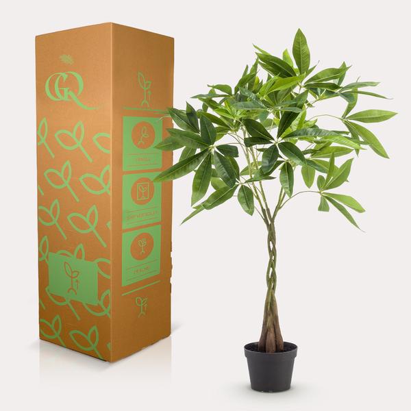 Kunstplant - Pachira Aquatica - Geldboom - ↕90cm - Ø15cm