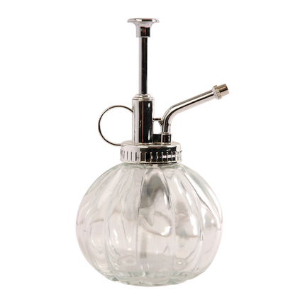Pulvérisateur pour plantes transparent/argenté - Verre - 0,25 litre