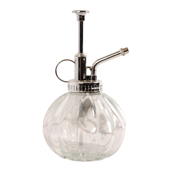 Durchsichtige/silberne Pflanzenspritze – Glas – 0,25 Liter