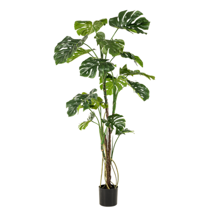 Sztuczna roślina Monstera - Roślina doniczkowa - ↕180cm - Ø17cm