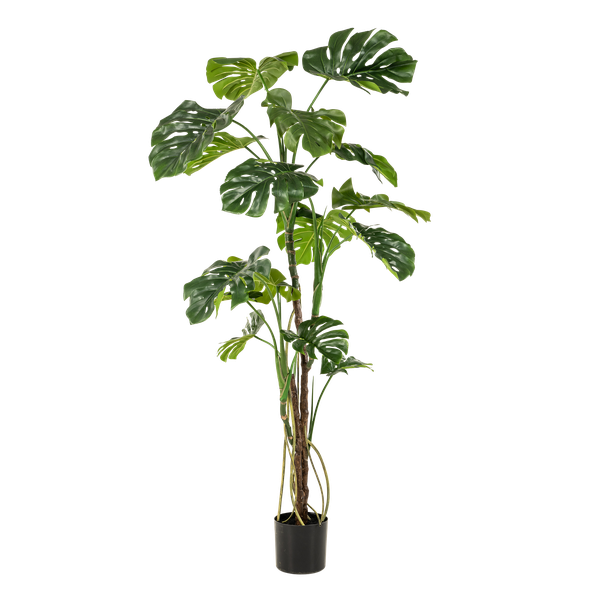 Kunstplant - Monstera  - Gatenplant - ↕180cm - Ø17cm