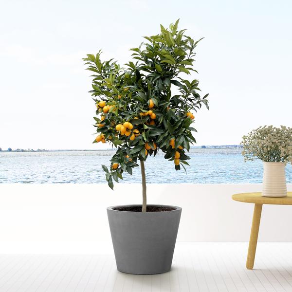 Bucket Grey - L - 68x60 - Pottery Pots | Betonlook Plantenbak