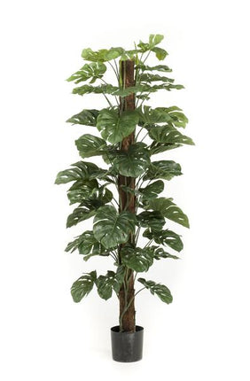 Sztuczna roślina Monstera Deliciosa - ↕180cm - Ø17cm