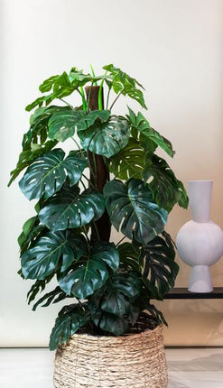 Sztuczna roślina Monstera Deliciosa - ↕180cm - Ø17cm