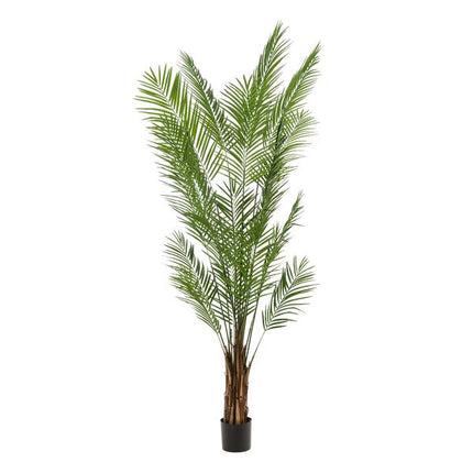 Rośliny sztuczne - Areca Lutescens - Złota Palma - ↕240cm - Ø17cm