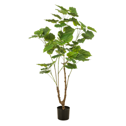 Artificial plant Ficus umbellate - African fig - ↕125cm