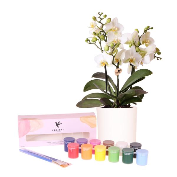 Kolibri Creatives | Verfpakket voor het schilderen van 4 bloempotten + orchideeën | voor 4 personen | Beginnende artiest