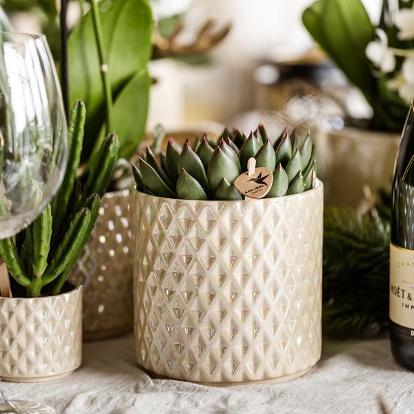Kolibri Home | Maceta decorativa Diamond Pearl - Travertino - Ø9cm