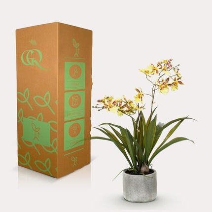 Artificial Orchid Plant - Yellow - ↕45cm - Ø16cm