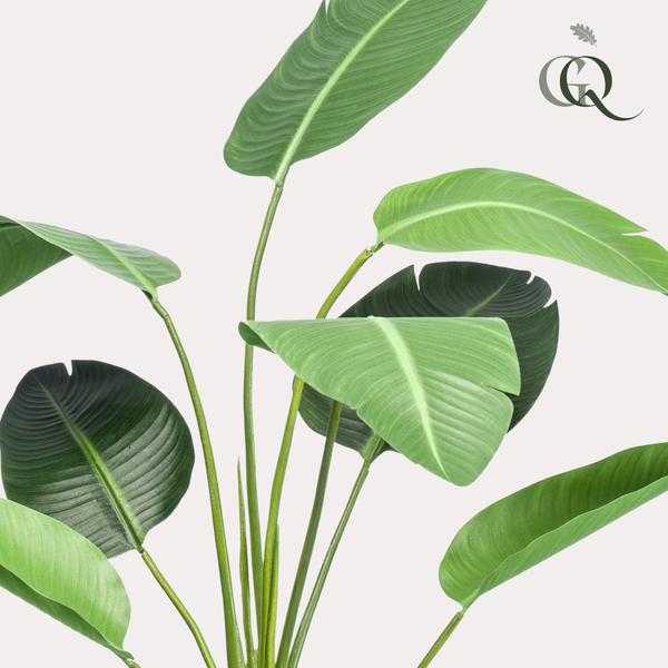 Kunstplant - Strelitzia nicolai - Paradijsvogelbloem - ↕120cm - Ø15cm