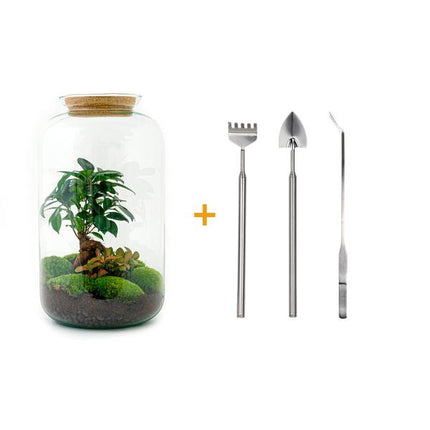 Terrarium DIY - Sven Bonsai - ↕43 cm - Grabie + Łopata + Pęseta