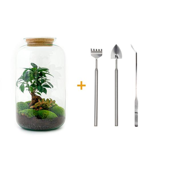 DIY terrarium - Sven Bonsai - ↕43cm - Rake + Shovel + Tweezer