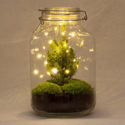 DIY-terrarium - Jul i burk - ↕28cm