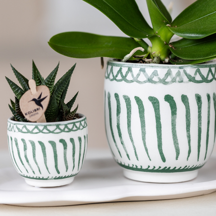 Kolibri Home | Granada - Grøn - Ø6cm