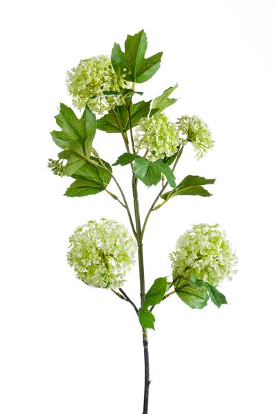 Kunstbloemen Solo - Crème - Viburnum Opulus Branches - 4x - ↕75cm