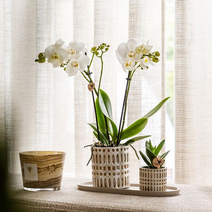 Kolibri Home | Doniczka dekoracyjna mozaikowa - Ø6 cm