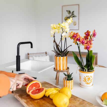Maison pour colibri | Rayure peinte - Orange - Ø9cm