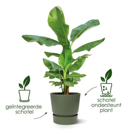 Elho Greenville Rund potte sort - D24 x H23