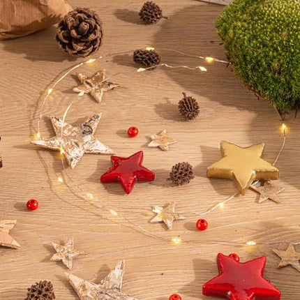 Plant Terrarium Kit - Mini Christmas Tree - 3 Plants - Refill & Starter Kit - DIY Christmas