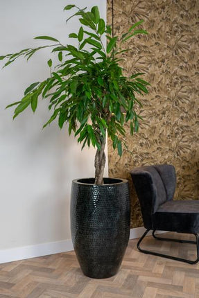 Set of 3 pots - Thom Black metal - Large