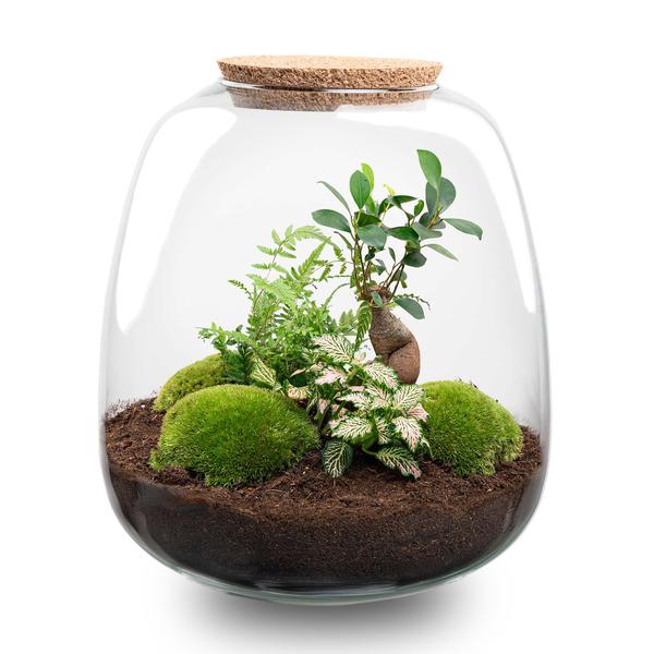 Planten terrarium - Emma - DIY kit - ↑ 25 cm - Ø 23 cm - Bonsai pink + LED