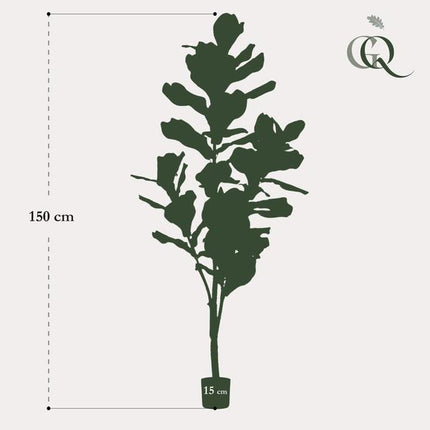 Kunstplant Ficus Lyrata - Tabaksplant - ↕150cm
