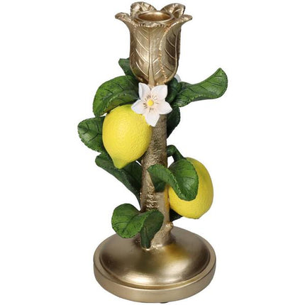Bougeoir avec citronnier - ↑ 22 cm