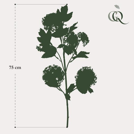 Künstliche Blumen Solo – Creme – Viburnum Opulus Zweige – 4 Stück – ↕75 cm