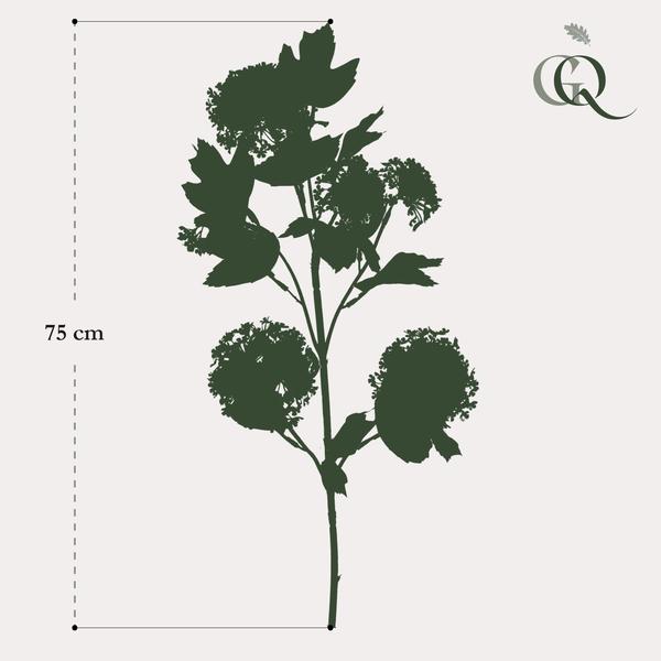 Kunstbloemen Solo - Crème - Viburnum Opulus Branches - 4x - ↕75cm