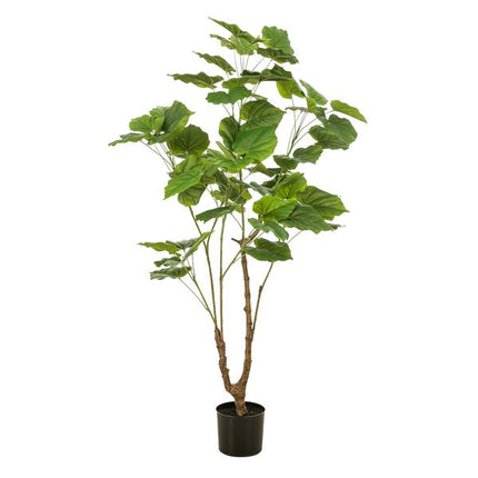 Artificial plant Ficus umbellate - African fig - ↕125cm